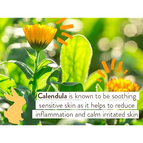 Babo Botanicals Moisturizing Oat & Calendula Miracle Face Cream ? Shea Butter Hydration for Dry or Sensitive Skin ? Gentle for Baby, Toddler, Kids & Family ? Vegan