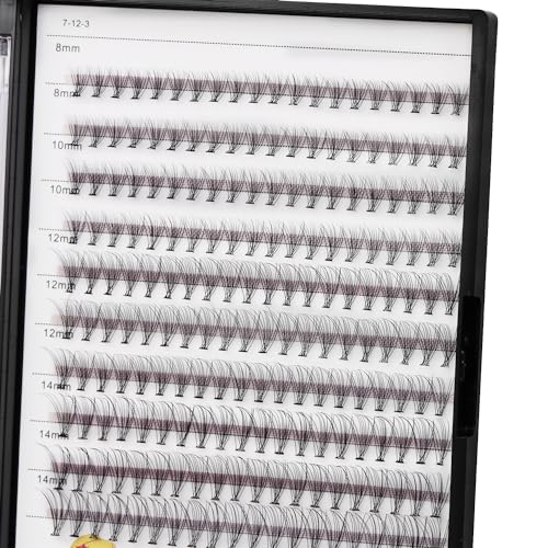 Bodermincer Large Box 200pcs 10D, 8-10-12-14mm Mixed Professional Makeup Individual Cluster Eye Lashes Grafting Fake False Eyelashes (8-10-12-14mm Mixed)