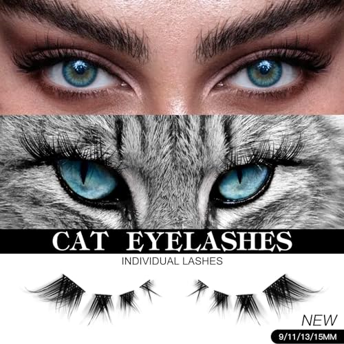 32 Pairs Cat Eye Individual Lashes Wispy Cat Eye Lashes DIY Lash Extensions 256pcs Clusters Lashes 8-16MM Fluffy Volume Eye Eyelashes Clusters