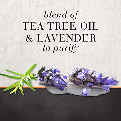 HAIR FOOD Tea Tree & Lavender Water Hair Conditioner 10.1 fluid Ounce (300ml)