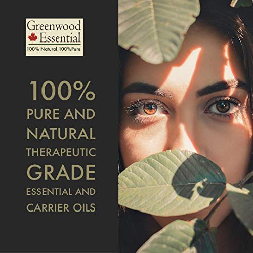 Greenwood Essential Linseed Oil (Linum usitatissimum) | Cold Pressed | Natural | Undiluted | For Diluting Essential Oils | For Skin & Massage | Men & Women | 5ml (0.16 oz)