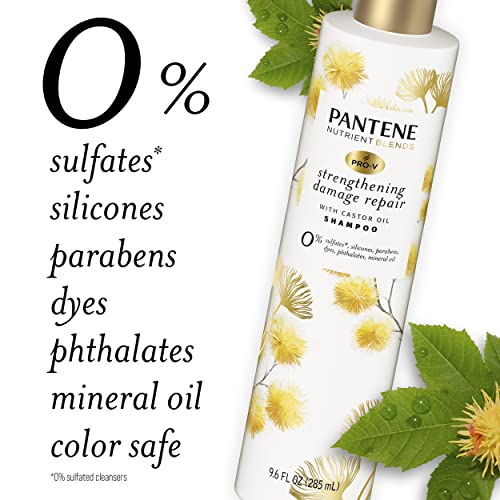 Pantene Sulfate Free Shampoo, Hair Strengthening Anti Frizz Damage Repair Shampoo with Castor Oil, Safe for Color Treated Hair, Nutrient Blends, 9.6 oz
