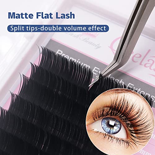 Ellipse Eyelash Extension 0.20mm C Curl 8-15mm Mixed Flat Individual Eyelashes False Lashes Mink Lashes Extensions