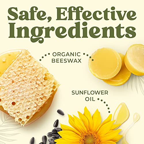 Earth's Daughter USDA Organic Lip Balm 12-Pack (2x 6-Packs) - Fruit Flavors, Beeswax, Coconut Oil, Vitamin E - Best Lip Repair Chapstick for Dry Cracked Lips - Moisturizing Lip Care