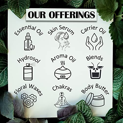 d?ve herbes Calendula Oil (Calendula officinalis) | Infused | Pure | Non-Sticky | Lightweight | For Facial Care | Men & Women | 100ml (3.38 oz)