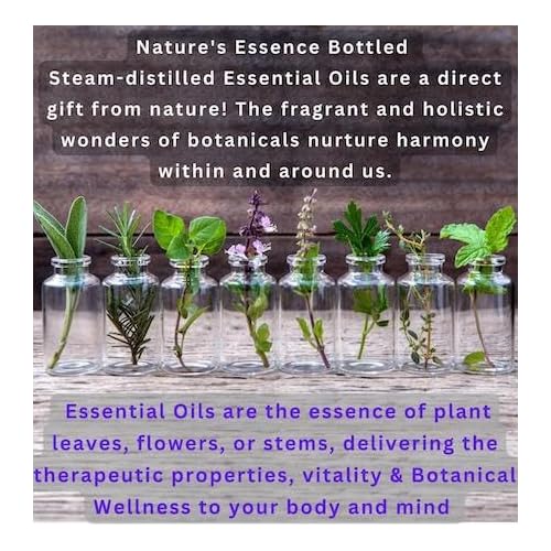 Handmade Goat Milk Soap set of two bars- BOGUE WELLNESS No.32 Detox Blend with Activated Charcoal & Diatomaceous Earth to detox, potent antioxidant Essential Oils help improve circulation