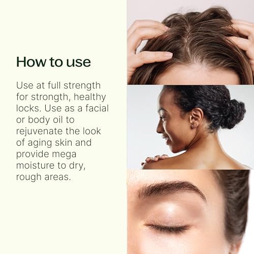 Plant Therapy Organic Argan Oil 16 oz Carrier for Skin and Hair Supports Moisturization Anti Aging and Nails Cold Pressed Pure USDA Certified
