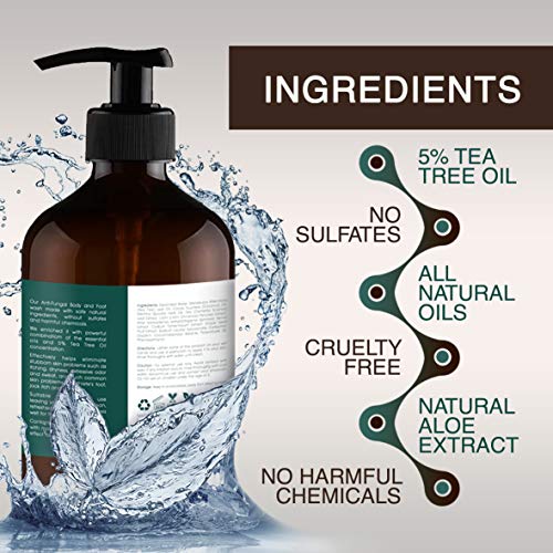 Tea Tree Oil Body Wash and Aloe Vera Gel with Organic Aloe Vera Cold Pressed bundle