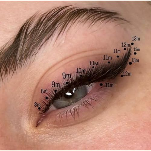 M curl 1200 Promade volume fans eyelash extension 8 sizes-in-1 round mixed box - 6D Premade fans 9-16mm, 0.07 - Pinneacle Lash Supply For Professional Lash Artists - Made in Vietnam (M curl)