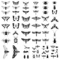 Butterfly Temporary Tattoo Sticker Waterproof Moth Insect Bee Dragonfly Men Women Party Favor 10.5X6cm Set of 24 (SF235)