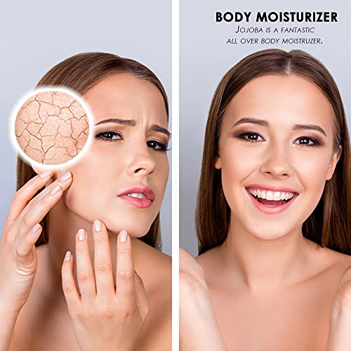 Soapeauty Lanolin Oil 100% Natural | Moisturizing Carrier Oil for Skin, Lips & Hair | Cosmetic & Soap Making Ingredient | DIY Formulations | 24 fl oz (2 ¡¿ 12 fl oz)
