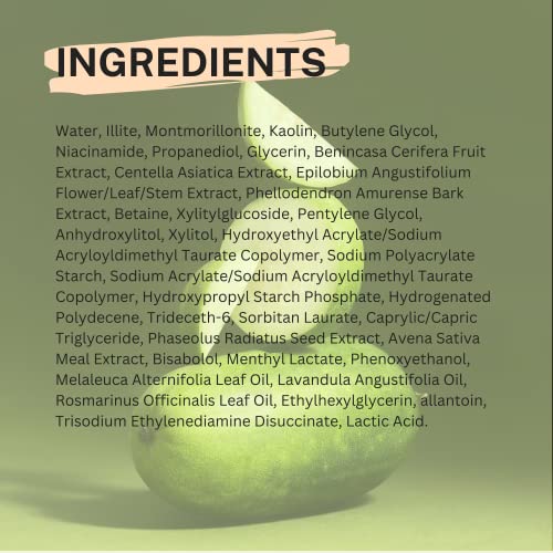 Cocoon Winter Melon Face Mask for Clogged Pores, Absorbs Excess Oil, Detoxifies & Refines Skin with Centella, Tea tree, Winter Melon (1.01 fl oz)