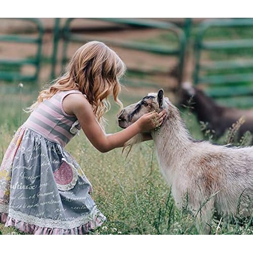Caprina Fresh Goat¡¯s Milk Soap Bar, Orchid Oil, 3.2 oz (8-3 Packs), Cleanses Without Drying, Biodegradable Soap, Moisturizing, Vitamin A, B2, B3, and More