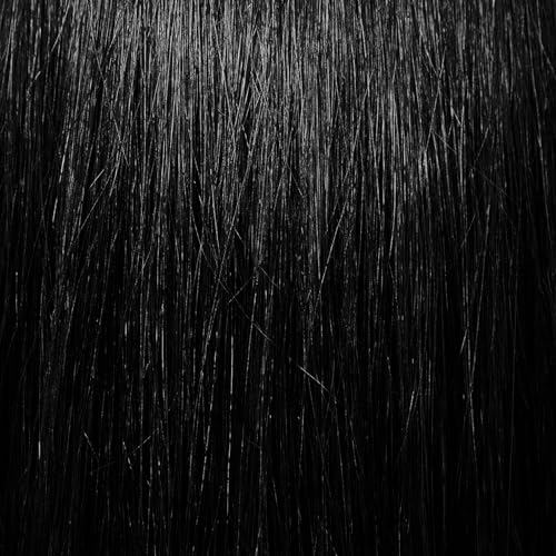 ion 1NN Darkest Intense Black Brilliant 12 Permanent Gloss Hair Color High Shine, AntiFade UV Protection, 100% Gray Coverage, PPD Free, 2.05 Oz