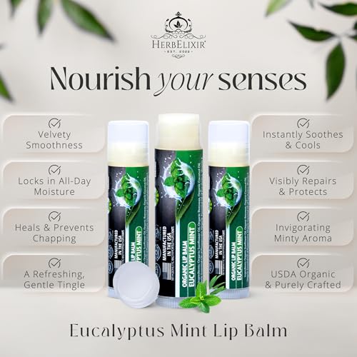 Organic Eucalyptus Mint Lip Balm 3 Pack | Hydrating Chapstick for Dry Lips | Natural Lip Care for Men and Women