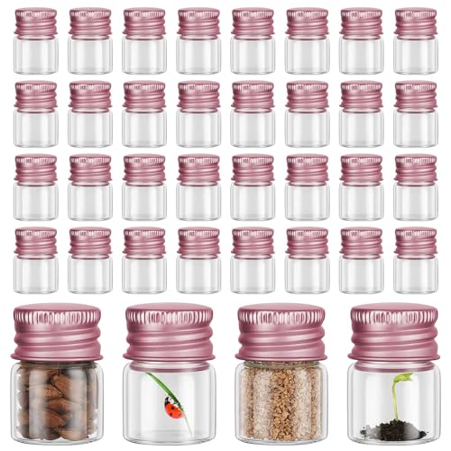 Tessco for you 100 Pcs 5 ml Mini Glass Bottles with Aluminum Cap Tiny Jars Mini Glass Jars Small Clear Vials with Screw Caps Tiny Containers for DIY Craft Storage (Rose Gold)