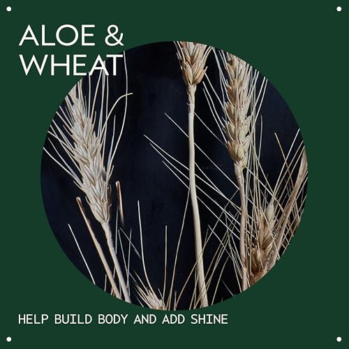 Aveda Volumizing Hair Tonic | Volume Spray for Fine and Medium Hair Types | Build Body + Shine |With Wheat Amino Acids and Certified Organic Aloe |92% Naturally Derived*