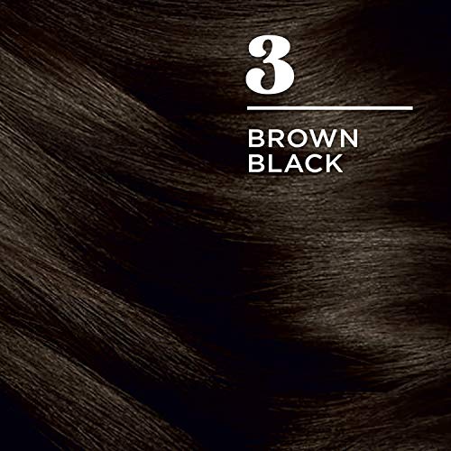 Clairol Nice'n Easy Permanent Hair Dye, 3 Brown Black Hair Color, 3 Count