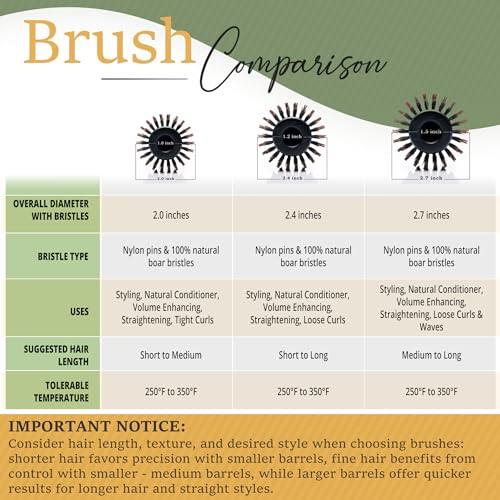 Boar Bristle Round Brush for Blow Out Set by Belula. Round Hair Brush For Blow Drying. Small 2” Wooden Barrel. Hairbrush Ideal to Add Volume and Body. Free 3 x Hair Clips & Travel Bag