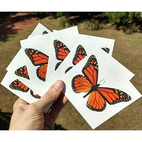 6 Large Monarch Butterfly Temporary Tattoos by Butterfly Utopia