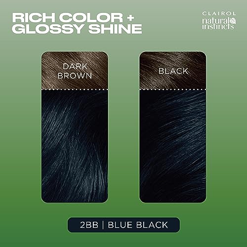 Clairol Natural Instincts Demi-Permanent Hair Dye, 2BB Blue Black Hair Color, Pack of 2