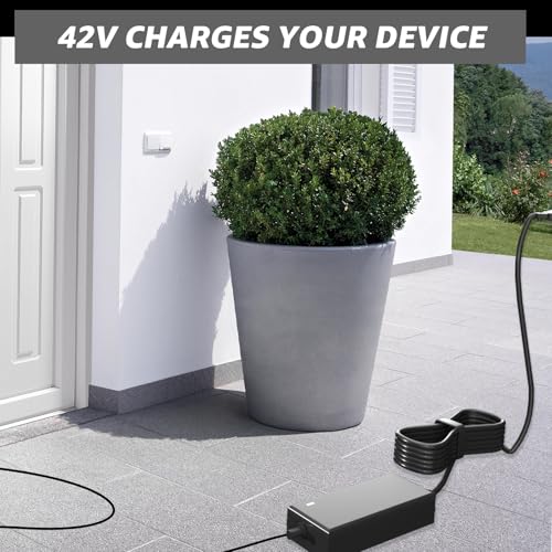 42V 2A for Hiboy S2 Pro Charger Compatible with Hiboy S2 Pro, S2 Lite, S2, KS4, KS4 Pro, NEX, NEX3, NEX5 Replacement Charger Power Supply