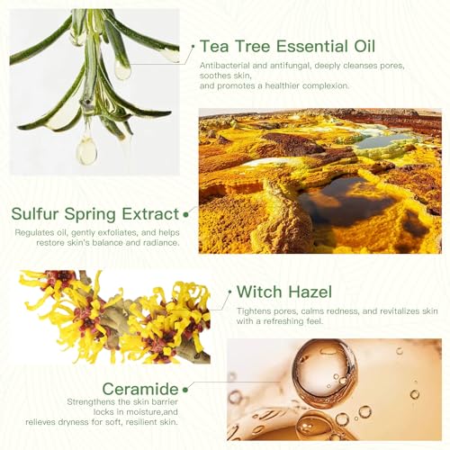 Tea Tree Soap, Tea Tree Soap Bar for Face & Body, Antifungal Soap with Tea Tree Oil, Antibacterial Bar Soap for Fungus, Ringworm, Acne, Pack of 3