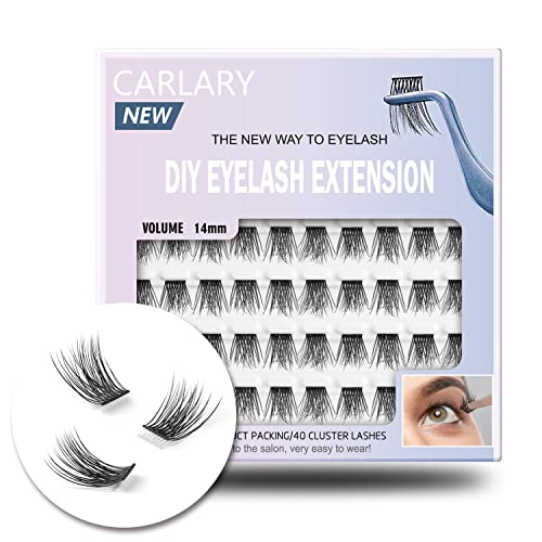 Lash Clusters, DIY Eyelash Extension, Reusable Volume Individual Lashes, Wispy Fluffy Artificial Natural Look for Cluster Lashes, C Curl Lashes Pack (Volume-14mm)
