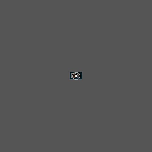 Harry Potter Gifts Makeup Brushes Set for Women, Teens, 5 Piece Makeup Brush Set with Travel Case for Eyeshadow Blush Contour Beauty