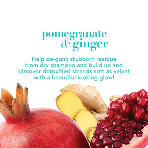 OGX Detoxifying + Ginger Conditioner, Pomegranate, 13 Fl Oz