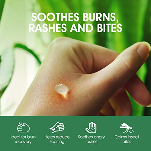Tea Tree Oil Body Wash and Aloe Vera Gel with Organic Aloe Vera Cold Pressed bundle