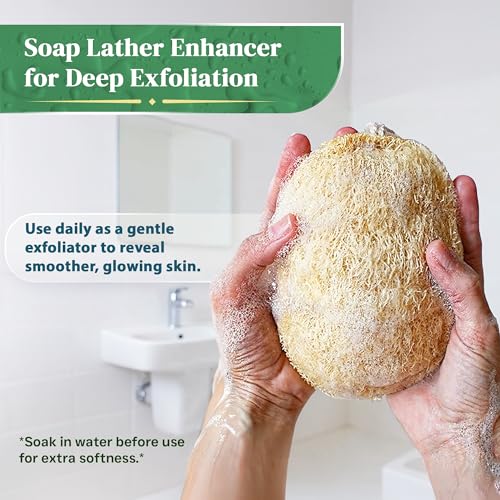 Natural Loofah Exfoliating Sponge (4 Pack) - Organic Loofah for Body - Biodegradable Shower Luffa - Natural Bath Sponges Loufa - Estropajos para el Cuerpo
