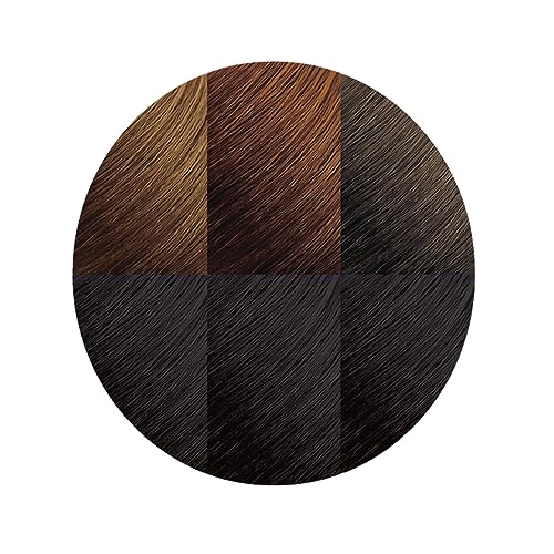 Moisture Rich Liquid Hair Color by Creme of Nature, C10 Jet Black, with Shea Butter Conditioner, 1 Application