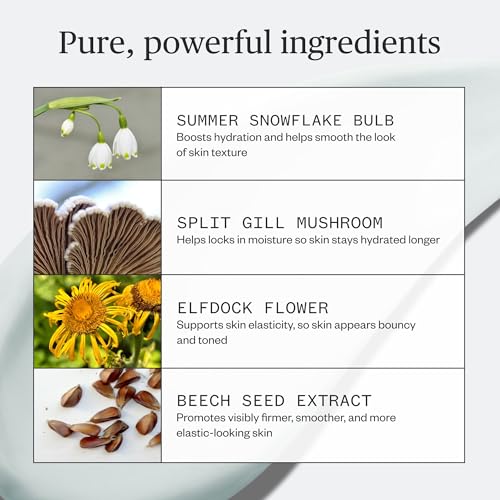 Ursa Major Vital Spring Hydration Mask | Deeply Hydrating Natural Mask| Plumps Skin¡¯s Appearance, Boosts Firmness & Smooths Appearance of Fine Lines | Vegan, Cruelty-Free, Non-Toxic | 1.69 ounce