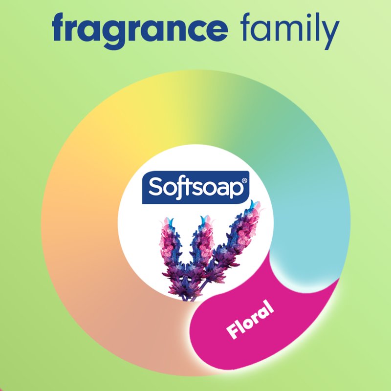 Antibacterial Sensitive Liquid Hand Soap with Rosewater & Aloe - 6 Pack