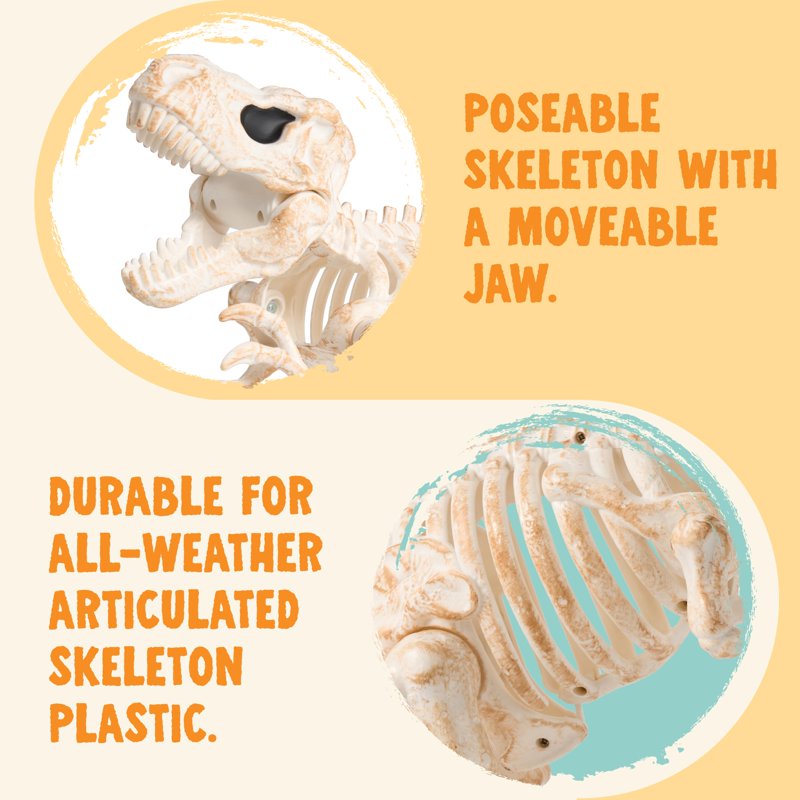 Joyfy 13.35" Posable Tyrannosaurus Rex Skeleton – Dinosaur Skeleton Decoration (Variation: Dinosaur)