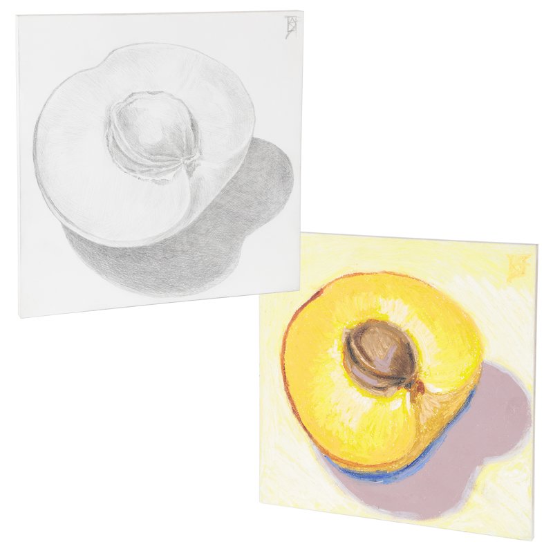 Dual Sided Art Panel Boards 20-Pack - 8x10 Inch Archival Painting Surfaces