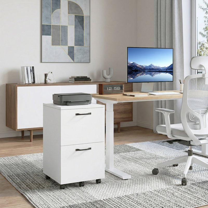 2-Drawer Lockable Rolling File Cabinet for Home Office Storage
