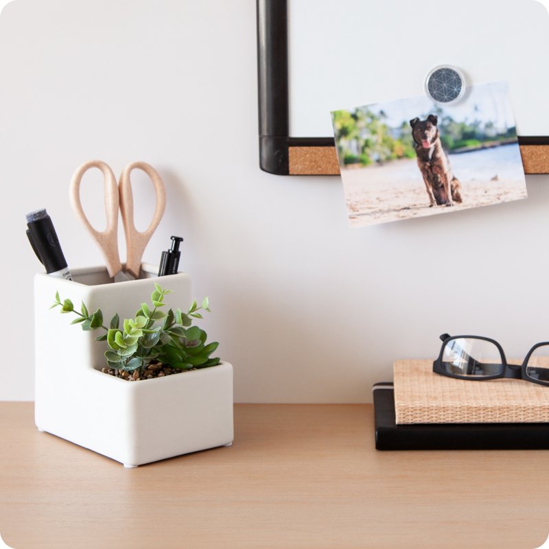 Ceramic Desktop Plant and Pencil Holder - White, 5.1 x 3.8 x 4.8 in.