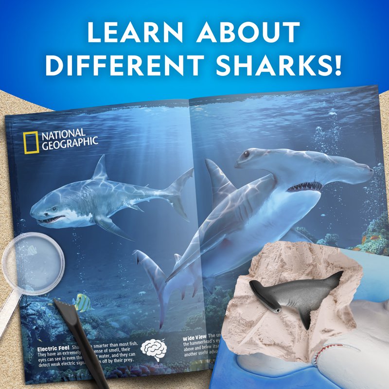 Kids Shark Dig Kit - Excavation Science Toy with 2 Shark Figurines