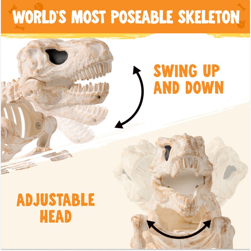 Joyfy 13.35" Posable Tyrannosaurus Rex Skeleton – Dinosaur Skeleton Decoration (Variation: Dinosaur)