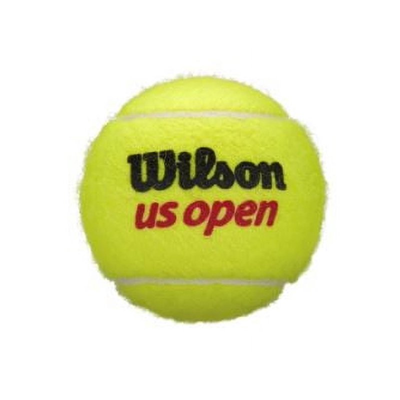 Wilson US Open Extra Duty Tennis Balls Can - 3 Pack, Hard Court Use