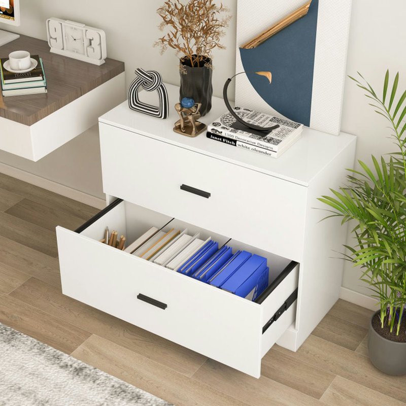 2-Drawer File Cabinet with Adjustable Steel Bars for Office & Home Storage