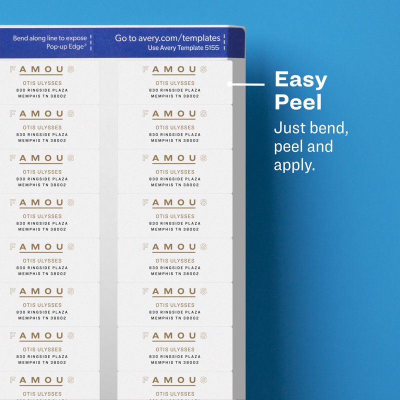Clear Return Address Labels 2/3" x 1-3/4" | Pack of 600 Printable Office Labels