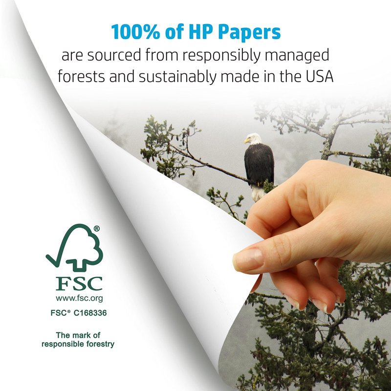 HP Copy & Print 20 Printer Paper - 8.5 x 11 Inches, 20 lb, 92 Bright White, 5 Reams