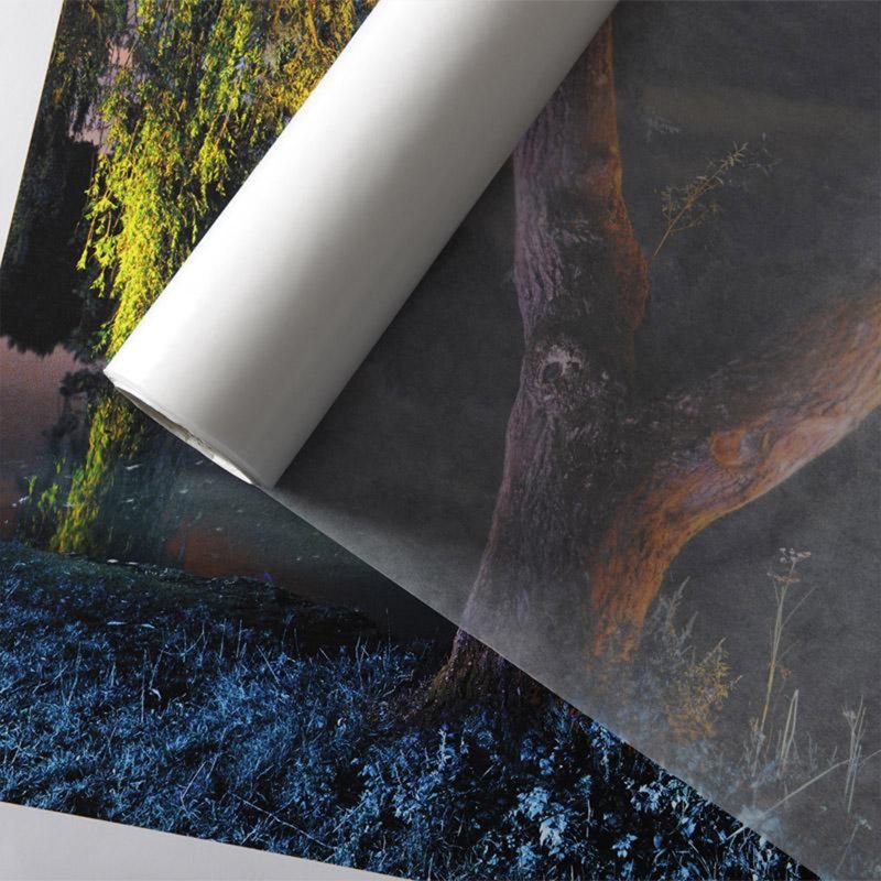 Canson Glassine Paper Roll - 36 x 10 Yards Translucent Protective Wrap