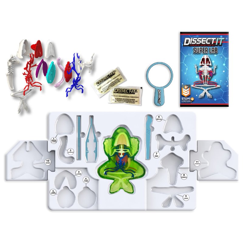Dissect-It Deluxe Frog Dissection Kit for Kids - Safe STEM Learning Toy