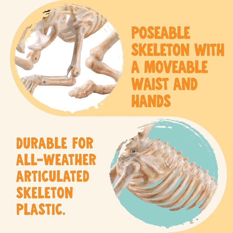 Joyfy 2 Pack 11” Rats Skeleton Halloween Decoration - Posable Plastic Animal Skeletons (Variation: Mouse)