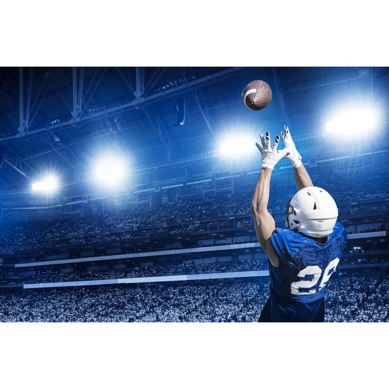 Padded Football Lineman Gloves - Youth & Adult Sizes, Black