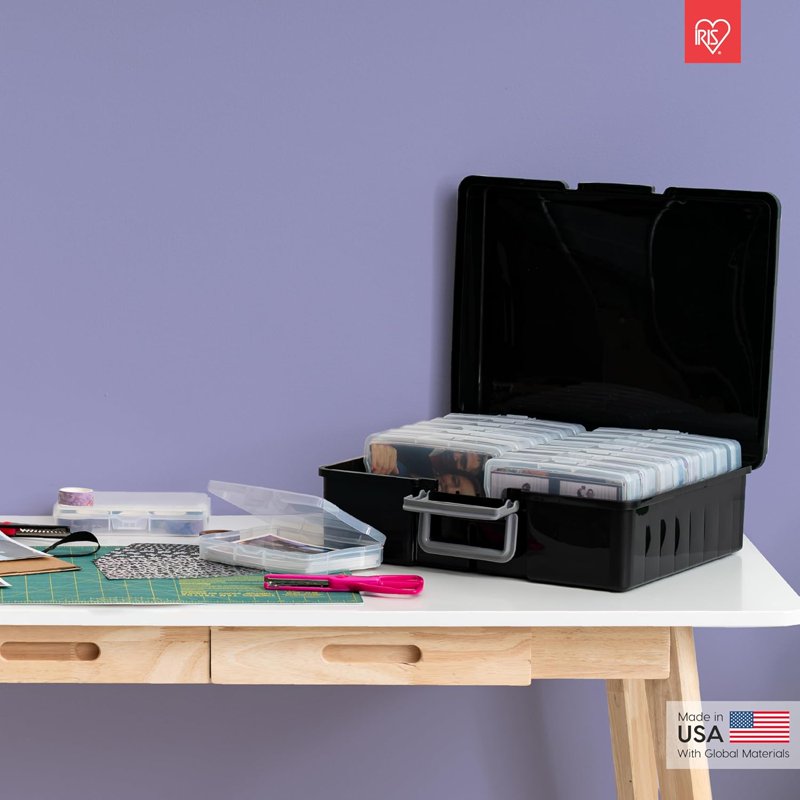 Clear Photo Storage Box with 16 Removable 4x6 Picture Holders, Stackable Organizer